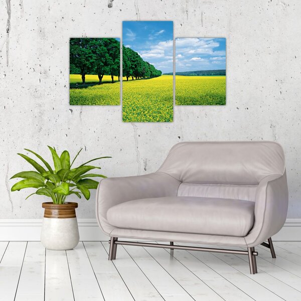 Slika polja z alejo (90x60 cm)