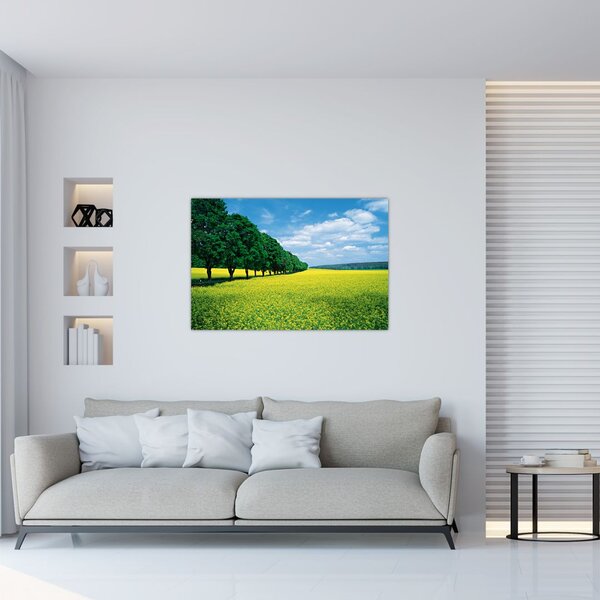 Slika polja z alejo (90x60 cm)