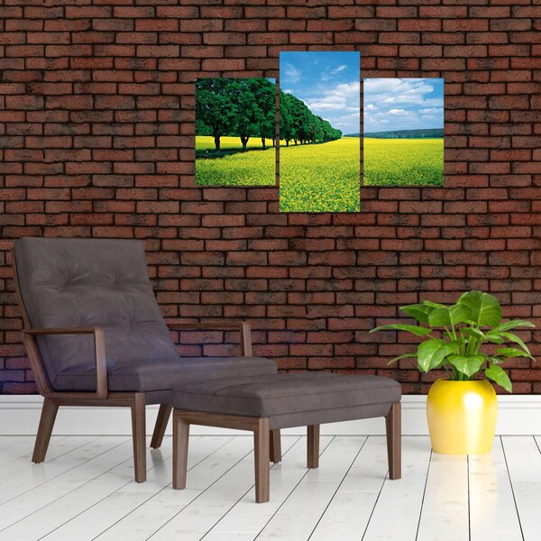 Slika polja z alejo (90x60 cm)