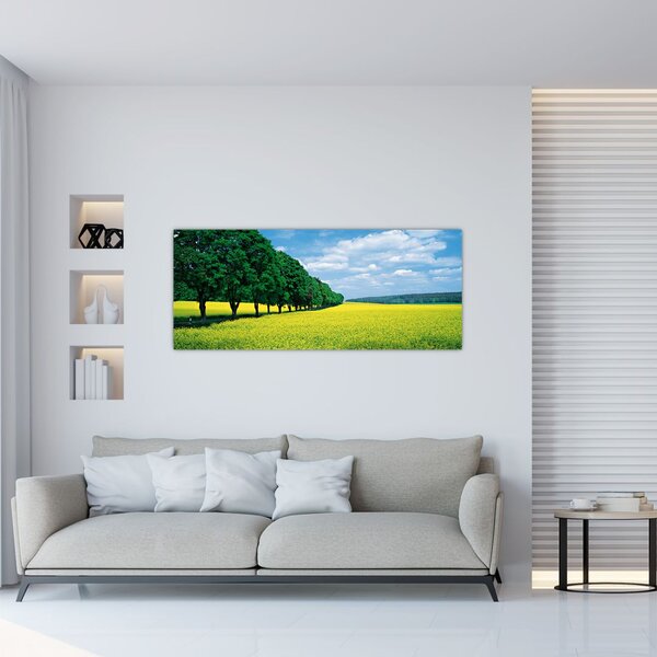 Slika polja z alejo (120x50 cm)