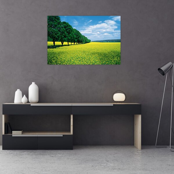 Slika polja z alejo (90x60 cm)