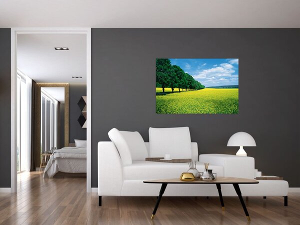 Slika polja z alejo (90x60 cm)