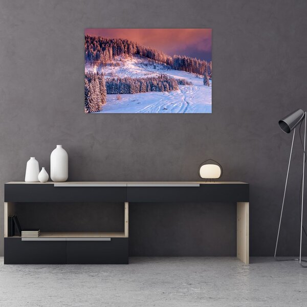 Slika zimske pokrajine (90x60 cm)