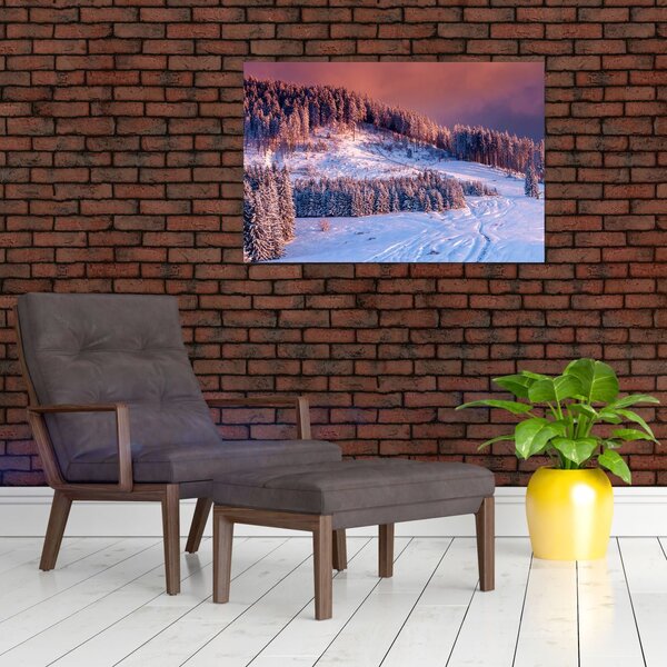 Slika zimske pokrajine (90x60 cm)