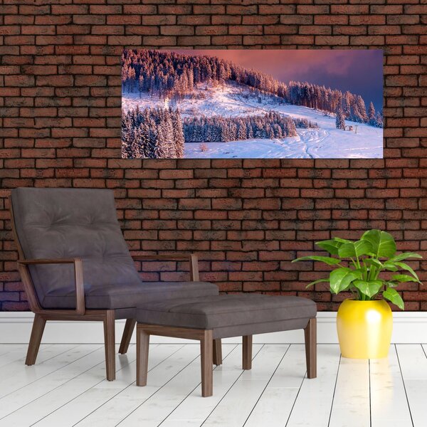 Slika zimske pokrajine (120x50 cm)