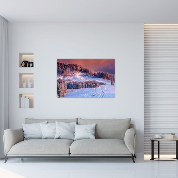 Slika zimske pokrajine (90x60 cm)