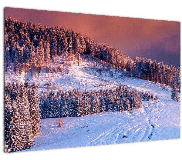 Slika zimske pokrajine (90x60 cm)