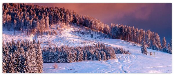 Slika zimske pokrajine (120x50 cm)
