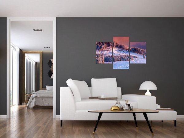 Slika zimske pokrajine (90x60 cm)