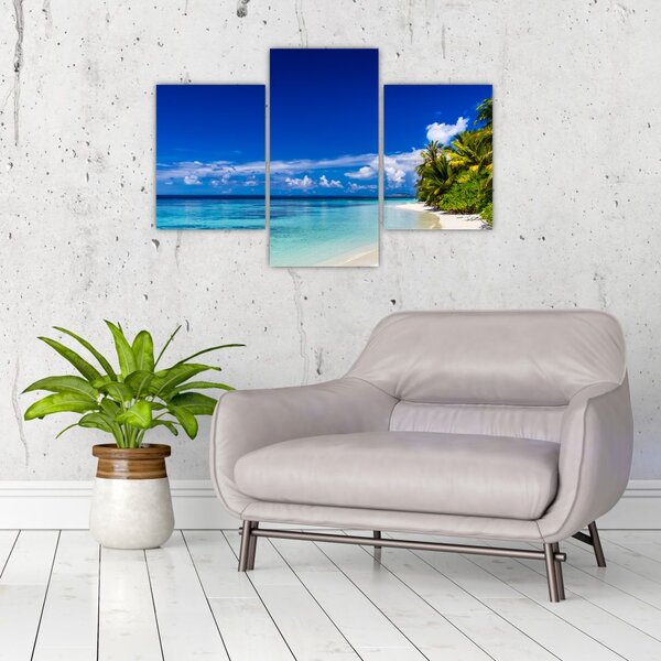 Slika tropske plaže (90x60 cm)