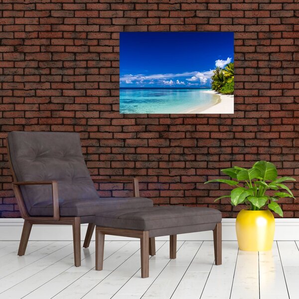 Slika tropske plaže (70x50 cm)