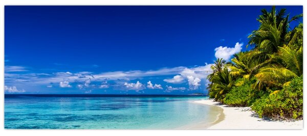 Slika tropske plaže (120x50 cm)