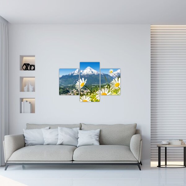 Slika - Pomlad v Alpah (90x60 cm)