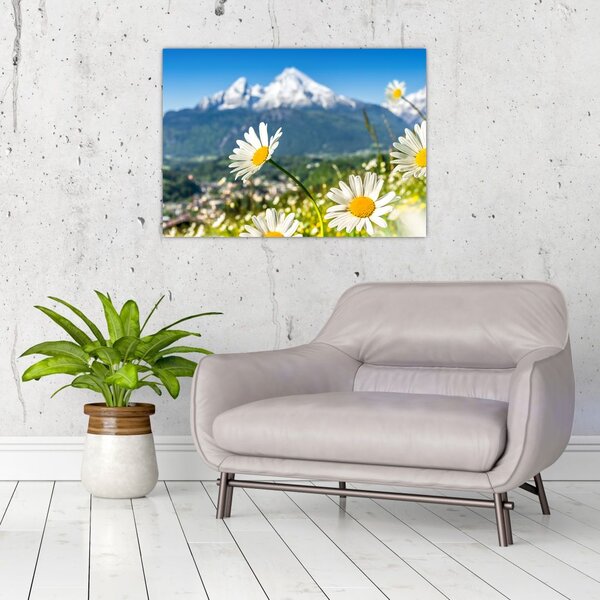 Slika - Pomlad v Alpah (70x50 cm)
