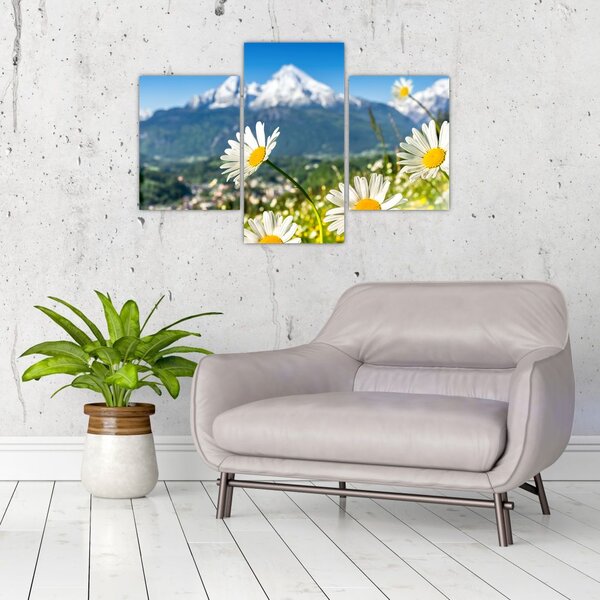 Slika - Pomlad v Alpah (90x60 cm)