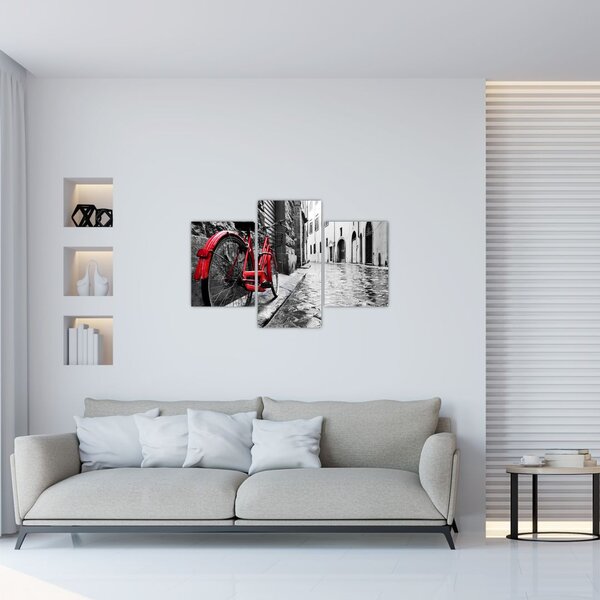 Slika rdečega kolesa na tlakovani ulici (90x60 cm)