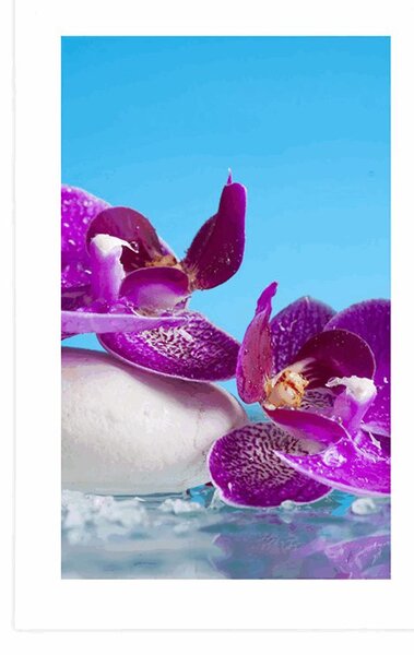 Plakat s paspartuom mrtva priroda - wellness