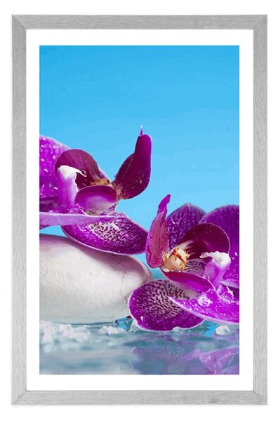 Plakat s paspartuom mrtva priroda - wellness