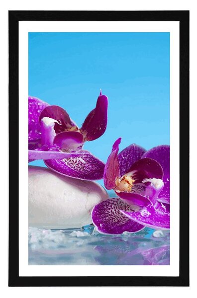 Plakat s paspartuom mrtva priroda - wellness