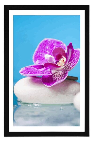 Plakat s paspartuom orhideja i Zen kamenje