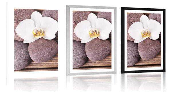 Plakat s paspartuom wellness kamenje i orhideja na drvenoj pozadini
