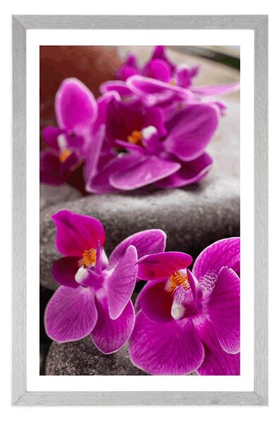 Plakat s paspartuom prekrasna orhideja i Zen kamenje