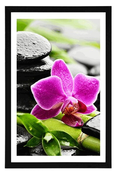 Plakat s paspartuom wellness mrtva priroda s ljubičastom orhidejom