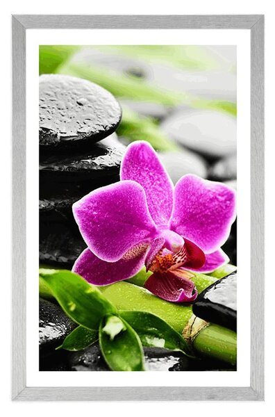 Plakat s paspartuom wellness mrtva priroda s ljubičastom orhidejom