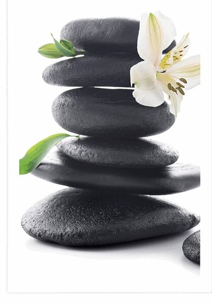 Plakat Zen kamenje s ljiljanom