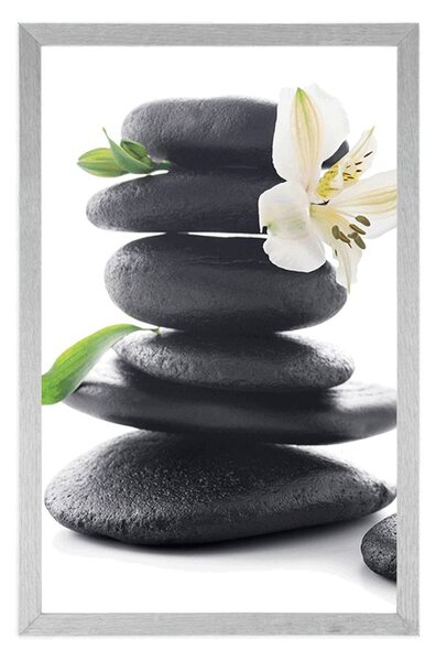 Plakat Zen kamenje s ljiljanom