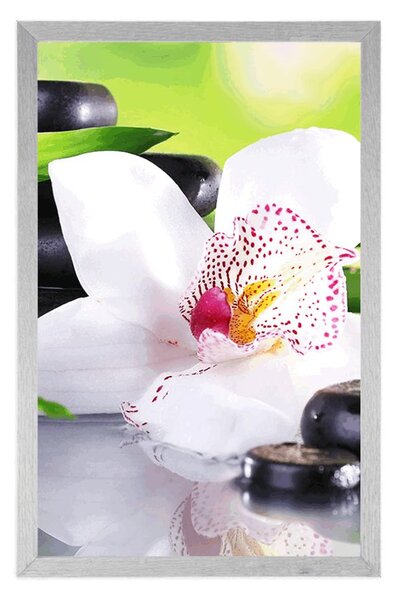 Plakat japanska orhideja
