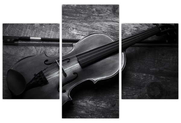 Slika - Viola (90x60 cm)