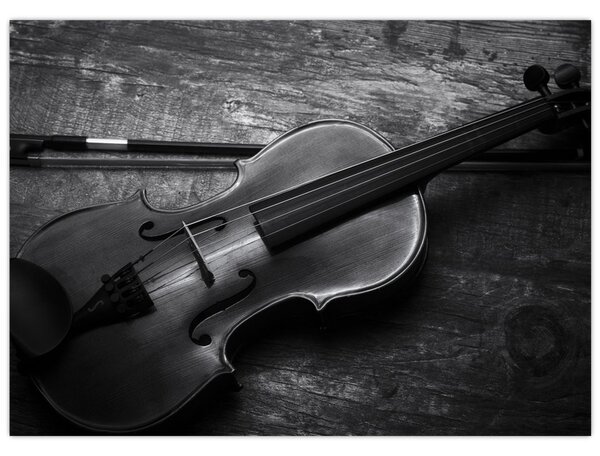 Slika - Viola (70x50 cm)