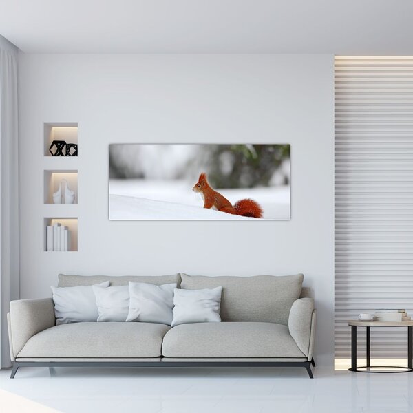 Podoba veverice (120x50 cm)
