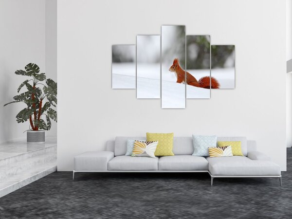 Podoba veverice (150x105 cm)