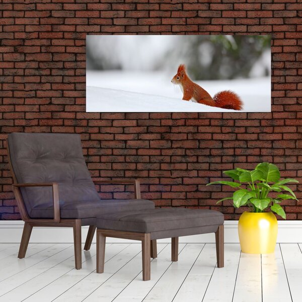 Podoba veverice (120x50 cm)