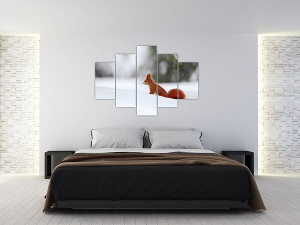 Podoba veverice (150x105 cm)