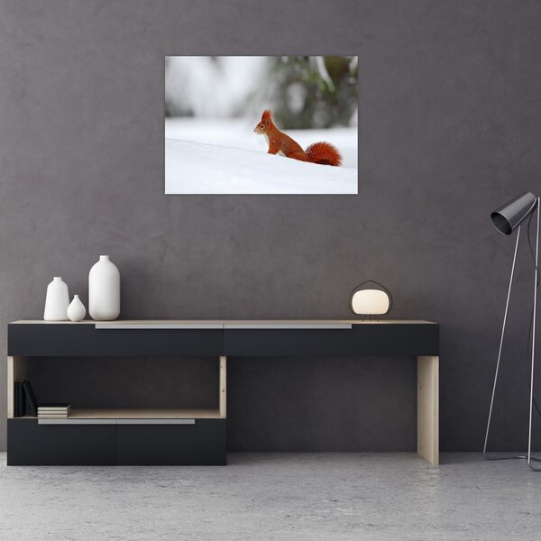Podoba veverice (70x50 cm)