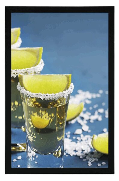 Plakat meksička tequila