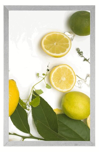 Plakat miks citrusa