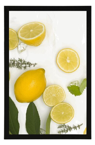 Plakat mješavina citrusa