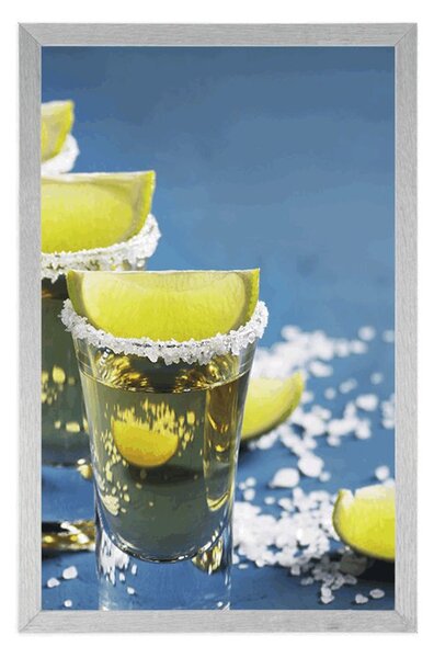Plakat meksička tequila