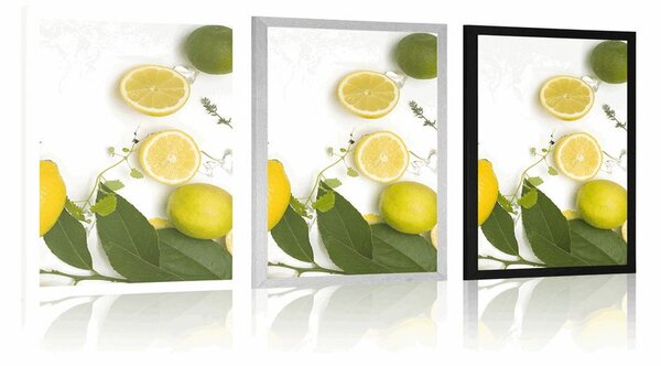 Plakat miks citrusa