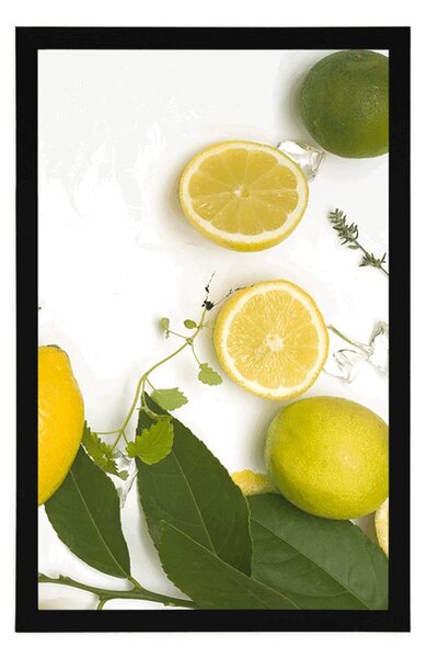 Plakat miks citrusa