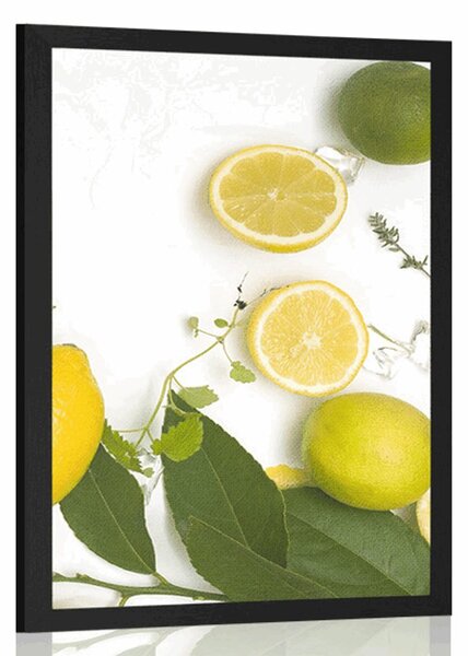 Plakat miks citrusa