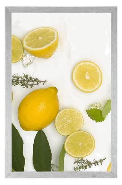 Plakat mješavina citrusa