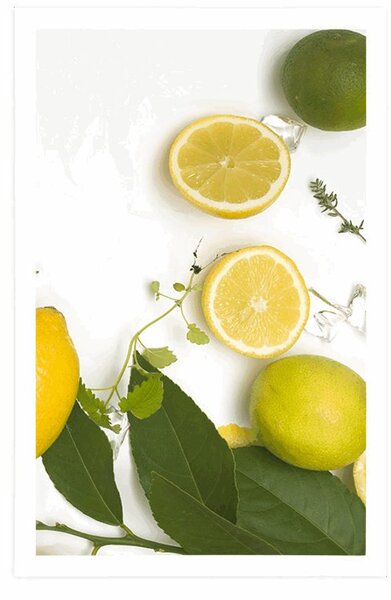 Plakat miks citrusa