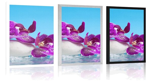 Plakat mrtva priroda - wellness