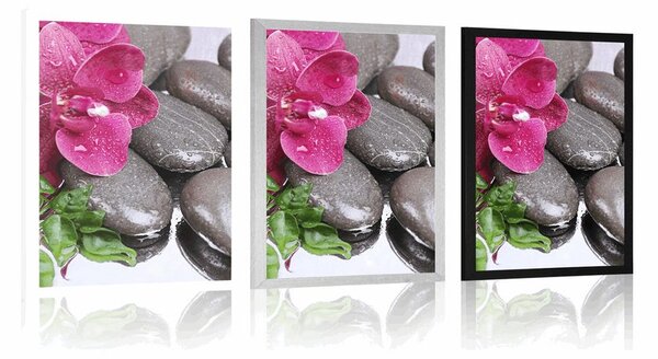 Plakat orhideja u cvatu i wellness kamenje