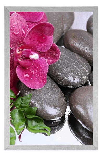 Plakat orhideja u cvatu i wellness kamenje